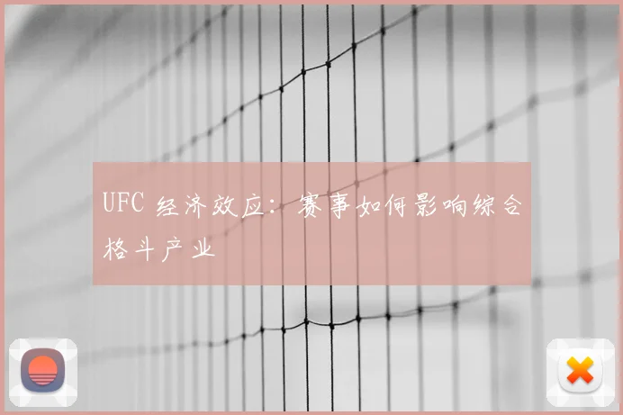UFC 经济效应:赛事如何影响综合格斗产业