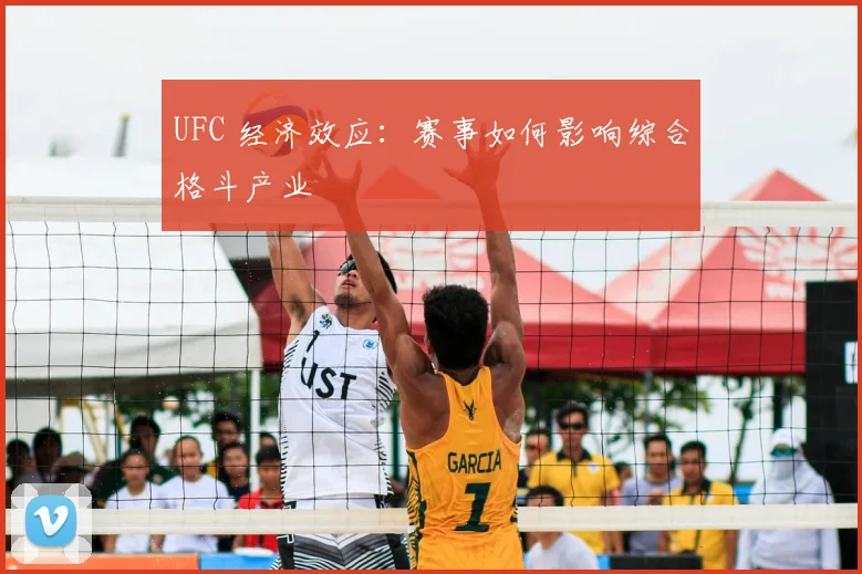 UFC 经济效应:赛事如何影响综合格斗产业